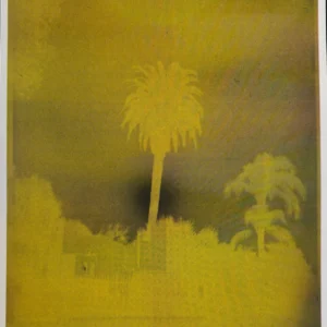 "Untitled (Yellow Palm), 2025 Risograph Print by Andrew K. Thompson