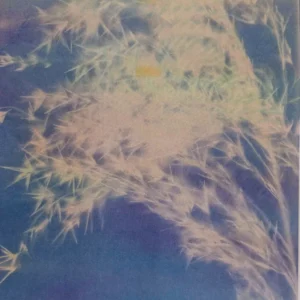"Untitled (Blue Lumen), 2025 Risograph Print by Andrew K. Thompson