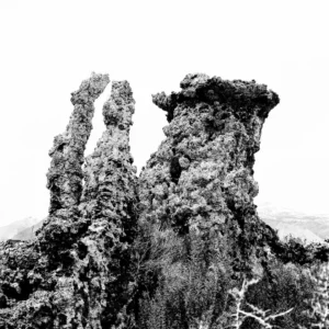 "Mono Tufa" Photograph by Justus Milhon
